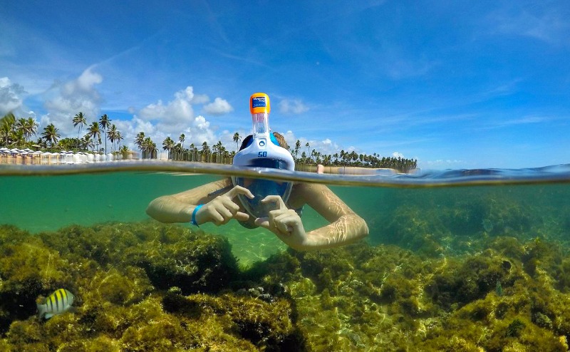 Peixes coloridos nadando ao redor de turista em mergulho livre na Bahia
